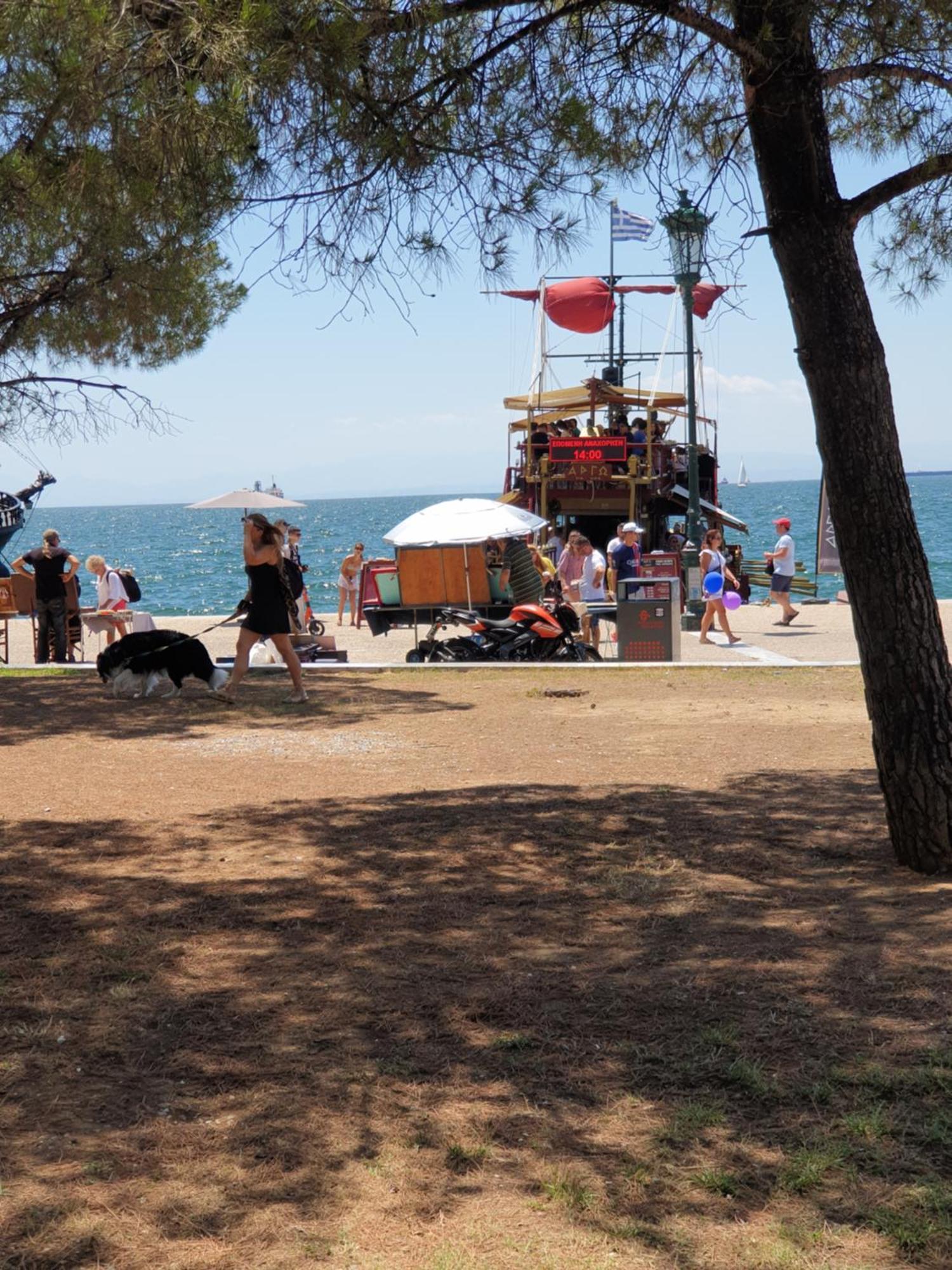 Konstantinos Apartmend Chalkidiki Appartamento